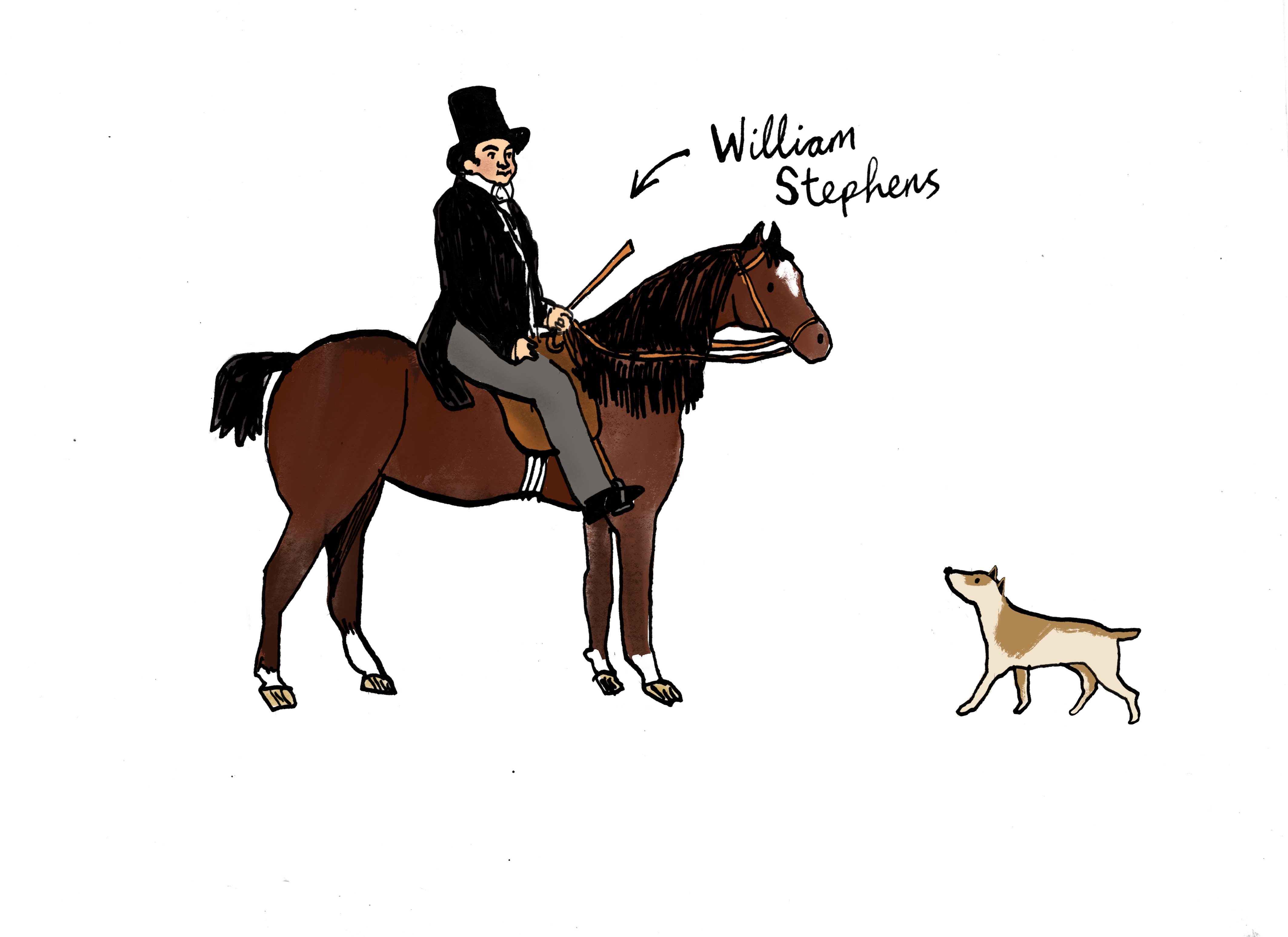 Equestrian portrait of William Stephens